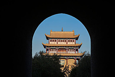 免费看黄色视频：网络陷阱揭秘：青少年守护行动，清朗网络共成长