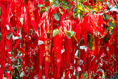 蜜桃传媒秘 免费观看：揭秘免费观影新平台：海量资源，高清画质，影迷必备的“神秘秘籍”