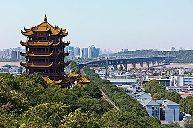 黄色软件下载中心：揭秘网络暗角：揭秘“暗流涌动”的非法软件下载平台，守护网络安全