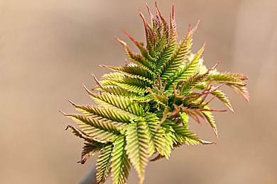 两人打扑克视频免费看软件下载：扑克爱好者福音，免费观赛新平台，解锁扑克精彩瞬间