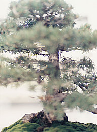 男人捅女人软件：揭秘：争议软件引发视觉与心理冲击，人性阴暗面引社会关注-1
