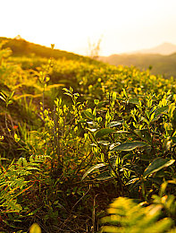 爽 躁多水 快 深点车上视频：“穿梭时空，光影共鸣：解锁短视频文化的独特韵律”