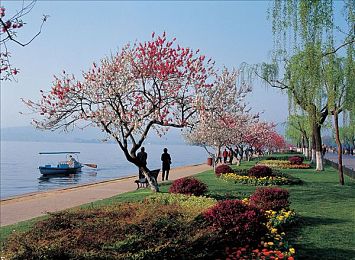 性服务3按摩师：身心放松之旅，治愈按摩师传奇-1