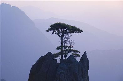 3d无尽怪物：虚拟现实激荡下，3D游戏新潮流：无尽怪物挑战与机遇并存