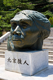 无翼乌口工全彩acg库：探秘ACG宝库，尽享全彩奇幻之旅