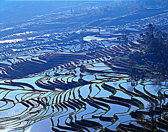 核基地2048回家的路链接：末世求生导航，揭秘神秘归途奥秘