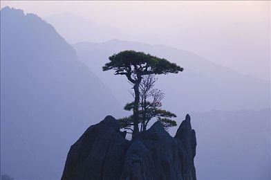 二人扑克打扑克剧烈运动软件：激情竞技，运动趣味两不误：新扑克游戏软件让快乐与挑战同行-2