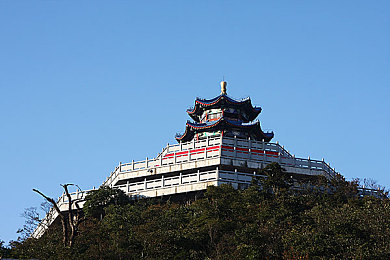 9.1人网站 免费：“免费门槛低，行业竞争激——揭秘互联网平台新策略对网站建设的深远影响”-1