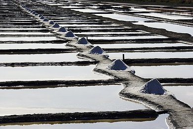 大象2024回家三秒跳：趣味挑战！三秒内跳跃回家，手机游戏《极限跳跃2024》引爆玩家热情
