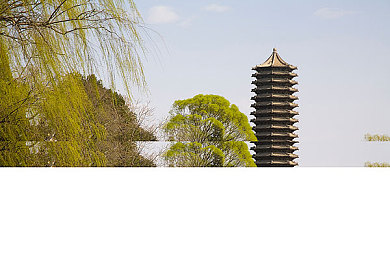 凸轮自由性别管西元汇编：颠覆传统，智能高效——凸轮驱动创新产品引领工业未来变革