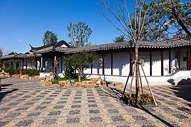 针 极端 疼痛 拳 重口：极限挑战热浪下的健康警示：疼痛游戏背后隐患重重-2