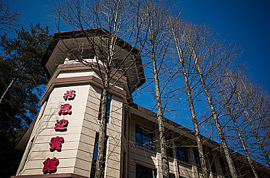 99re6在线视频：极限挑战游戏攻略揭秘：高清画面剧情吸引，新手玩家挑战升级技巧全解析-2