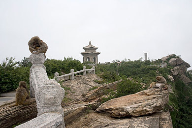 黄色软见1：网络迷雾破晓，清朗天空守护者-2