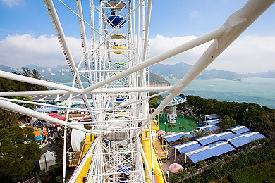 丁香五月天网：探索SEO秘境，五月丁香花海共舞-3