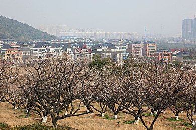第5人格黄片：第五人格：揭秘“黄片”风波，守护游戏净土
