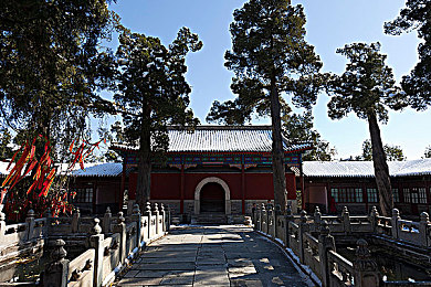 西方137137大但人文艺术：艺术之旅：探索西方瑰宝，解锁人文之美-2