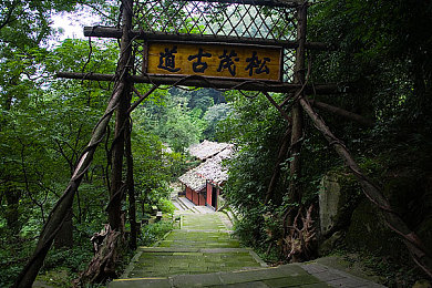 双人摇床生孩子：摇床奇迹：共赴生育旅程，珍惜生命美好瞬间-2