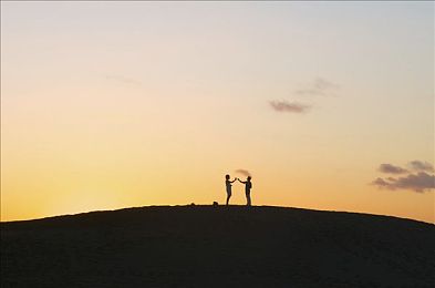 黄色的软件免费下载3.0.3免费版：“功能全面升级，体验非凡之旅——探索全新黄色软件魅力”-3