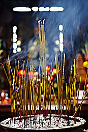公交车后车座的疯狂的做小：奇幻都市探险：解锁神秘公交车后车座，体验无尽冒险之旅-4