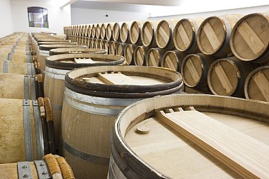被肥丑壮侵犯糟蹋H双性：探寻游戏角落：肥丑壮英雄的逆袭与和谐守护之道-2