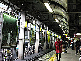 西川ゆい 痴汉在线播放：网络清朗守护者：揭秘网络隐私危机与对策-2