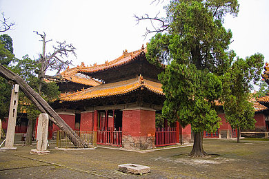 体育生脱裤子摸jiji自慰：揭秘运动员减压之道：自慰现象背后的身心健康启示