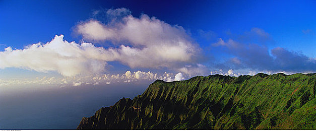 1995激战丛林珍妮和泰山：经典再现，丛林激战：新片《珍妮与泰山》引燃环保热潮