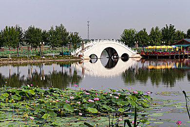 古代三 A大乳影片：揭秘传奇：古代影视艺术瑰宝的审美魅力与传承之旅