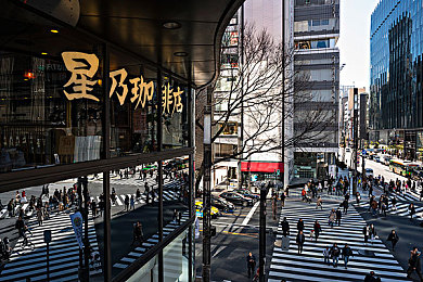 黄色软件3.0。：揭秘网络暗影，共筑安全防线：对抗恶意软件的守护之旅