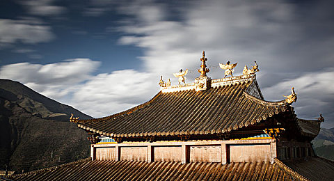 思思99：梦幻大陆寻宝之旅，探险家必备奇幻冒险游戏