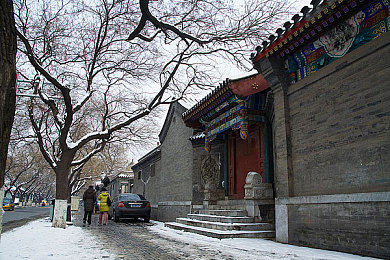 黄色的app：网络风暴：揭秘“暗影”应用，隐私防线再被挑战