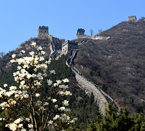 西方大但人文艺术：穿越时空的艺术之旅，探索西方瑰宝的魅力-2