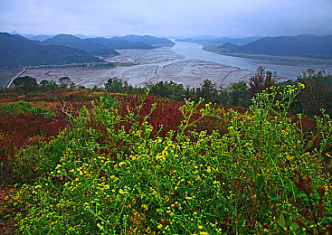 www五月天婷婷：攀登梦想巅峰，婷婷正能量之旅-2