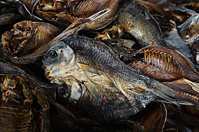 黑料老司机黑料永久：网络深海揭秘：隐私猎手与永恒黑料挑战-2