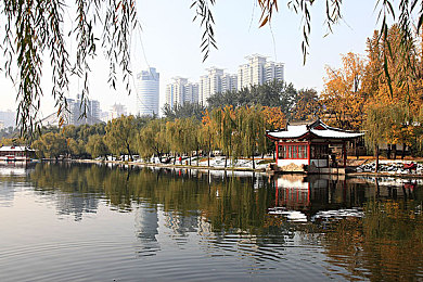 三上悠雅代表电影是什么：光影交织，悠雅演绎——探索电影艺术之美-2