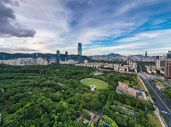 www.一区：畅游公平竞技场，揭秘热门一区游戏攻略秘籍-2