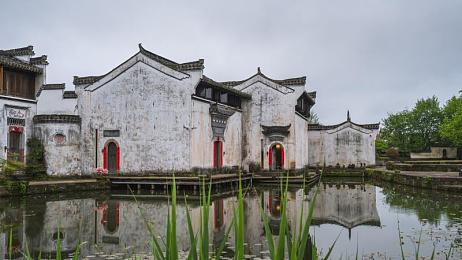 大团圆亲情会王芳王虎介绍：奇幻亲情冒险，兄妹情深共闯关