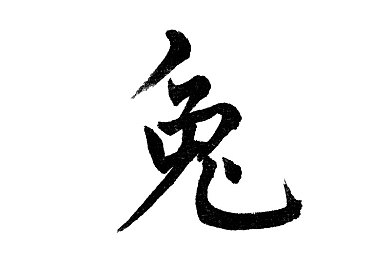 玫瑰直播：网络互动新潮流，直播创新领风骚