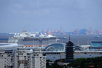 斗罗大陆黄：国产科幻巨著崛起启示录：探索《斗罗大陆》背后的文学魅力与市场潜力