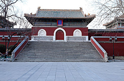 仙踪林一线二线三线入口在哪：穿越三界秘境，解锁仙踪林奇幻之门-1