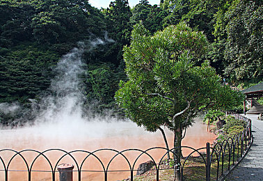 黄色软件3·0：软件革新浪潮，界面革新，功能全面绽放-2