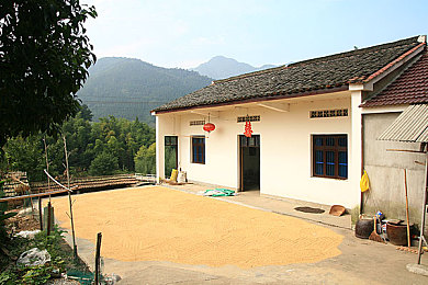乔本香菜：香料秘境：探秘游戏世界中的神秘力量提升之道-1