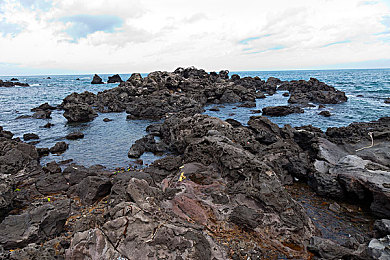 国产不卡A：沉浸传奇之旅，国产巅峰新体验-3