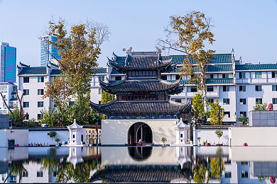 无翼乌不知火舞：奇幻舞者传奇，火舞江湖共鉴传奇