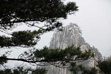 jm：解码网络流行语：探寻“姐妹”缩写背后的文化奥秘-2