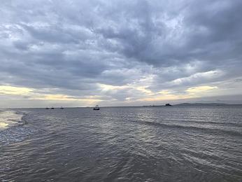 六月丁香婷婷综合：梦幻花园浪漫之旅：夏日花海，园艺乐趣无限体验-2