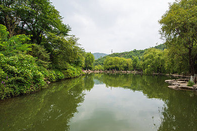 含糖1H1奶菜：健康生活启航，低糖奶菜引领新潮流-3