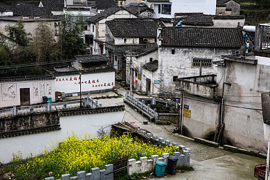 色呦呦综合网站：新兴娱乐平台崛起，丰富内容引领网络风向标：揭秘“色呦呦”平台魅力-3