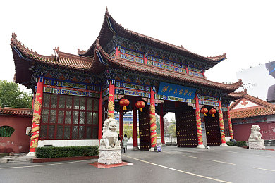 九九热免费精品：畅游宝藏乐园，尽享免费精品盛宴-2