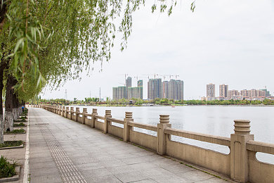 蜜桃精东：水果王国奇遇记，绿色农业谱新篇-3